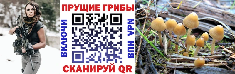 mega зеркало  Борзя  Галлюциногенные грибы ЛСД 